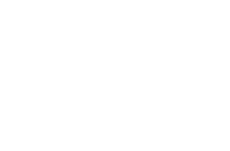 Logo Immo Ascona Immobiliare